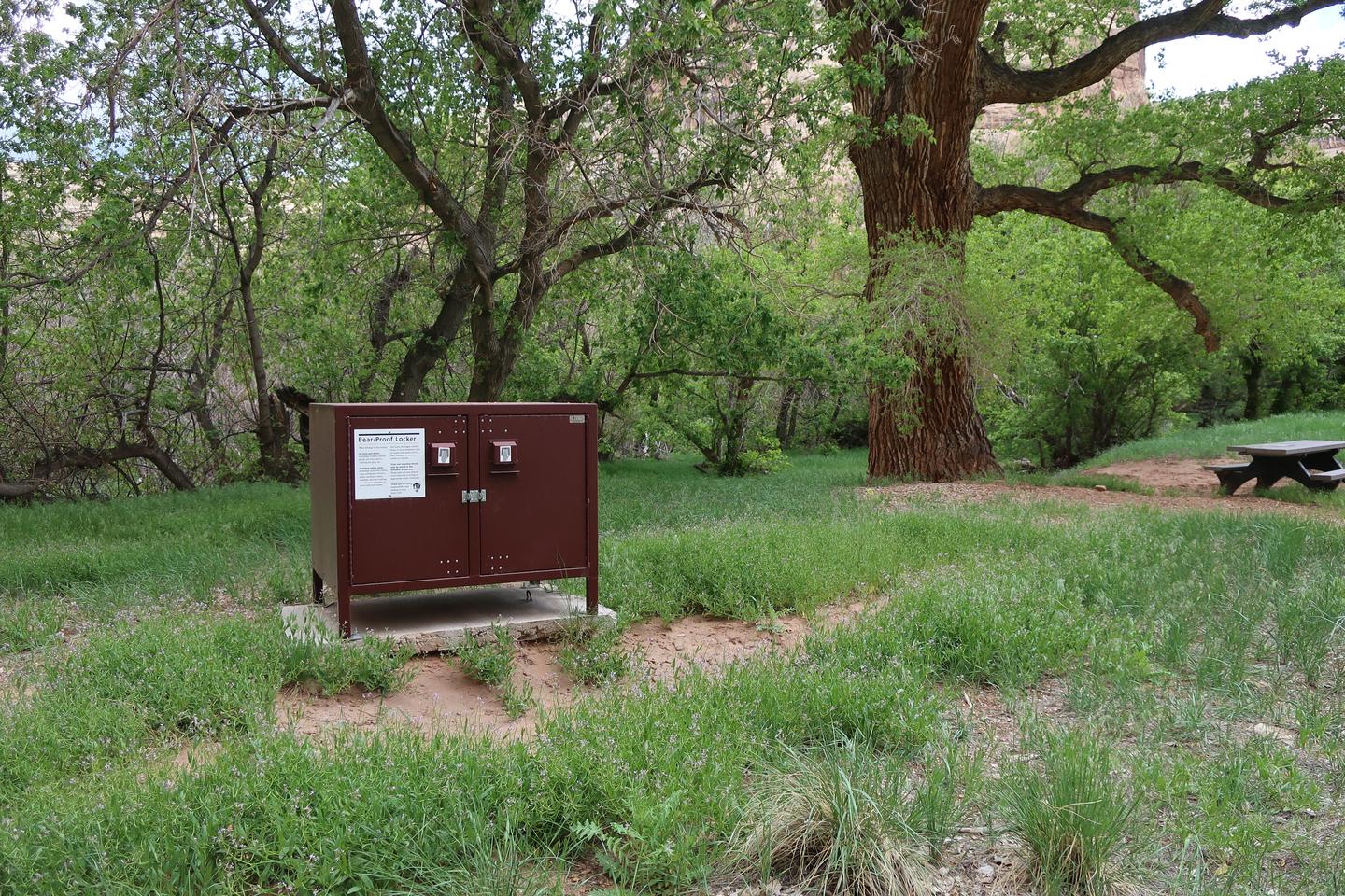 Food storage box (Bear Box) for walk-in sites.