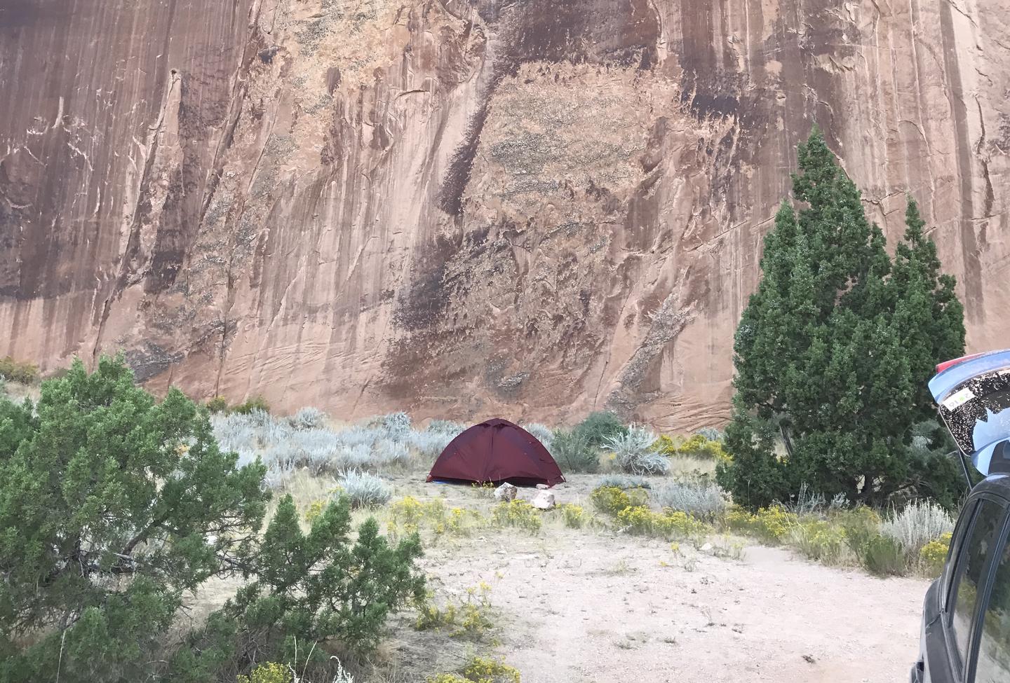 A small marron tent at the base of a towering cliff in Echo Park Campground.Campsite in Echo Park.