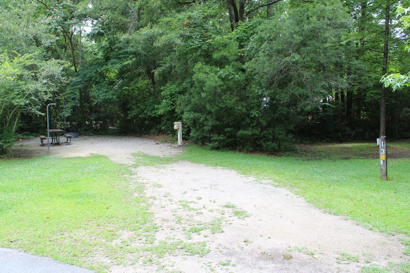 Flanners Beach Campsite #13.Driveway to Campsite