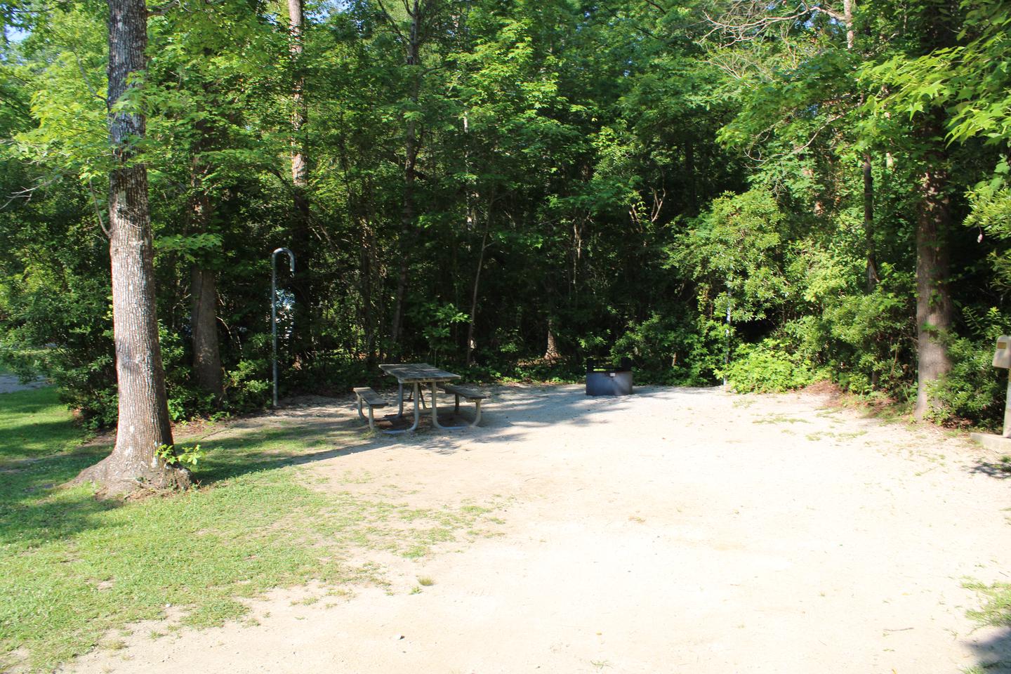 Flanners Beach Campsite #15.Camp Pad