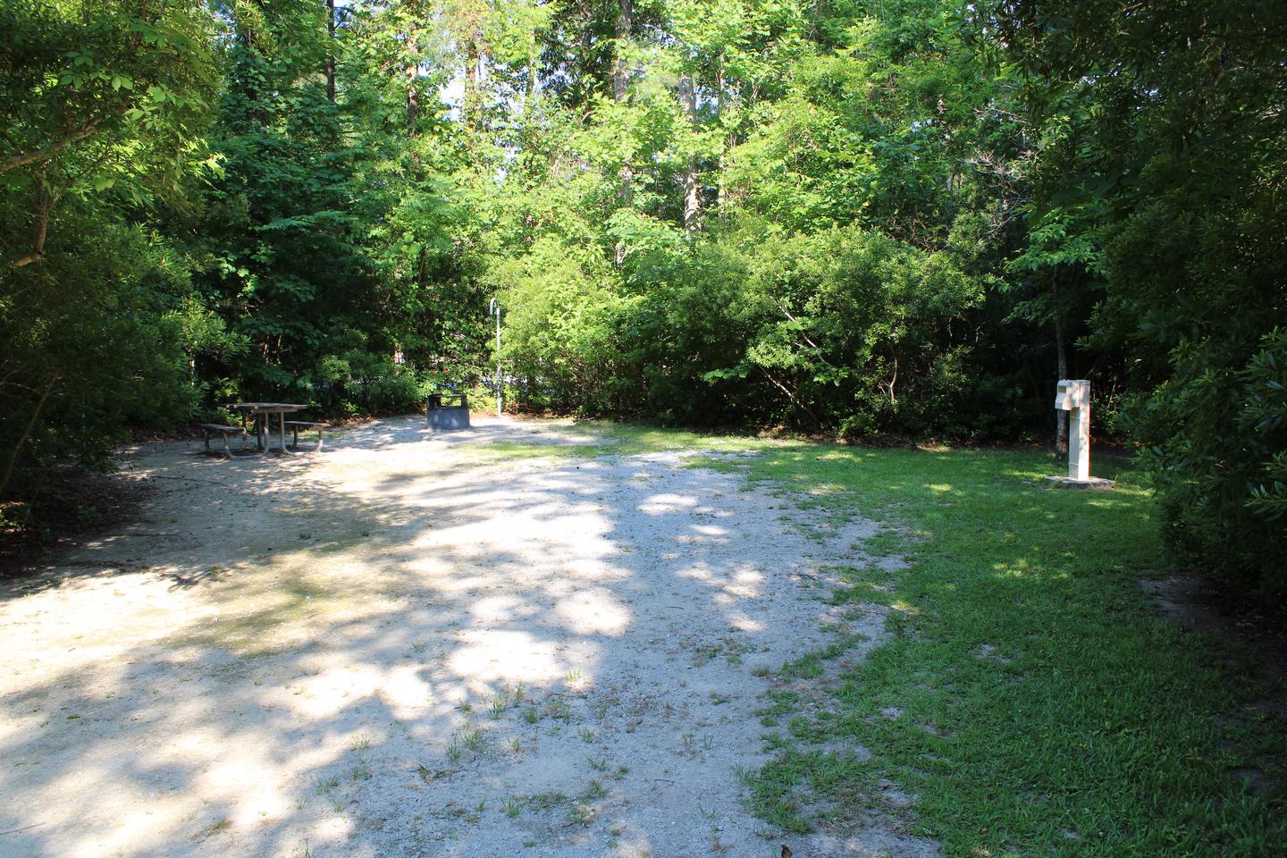 Flanners Beach Campsite #17.Driveway to campsite.