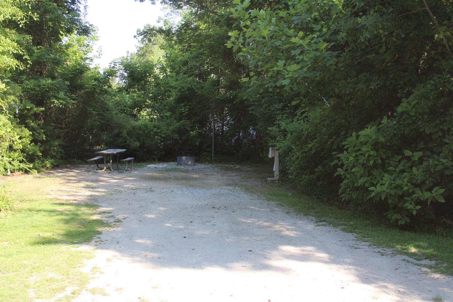 Flanners Beach Campsite #19Driveway to Campsite