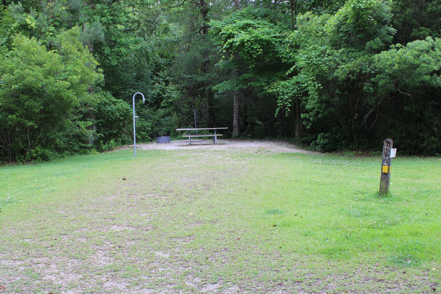Flanners Beach Campsite #22Driveway for Campsite