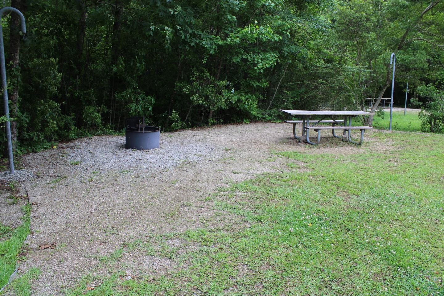 Flanners Beach Campsite #24.Camp Pad