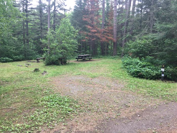 A photo of Site 8 of Loop West Loop at Little Isabella River Campground with Picnic Table, Fire Pit, Shade, Tent Pad, and Parking Area.A photo of Site 8 of Loop West Loop at Little Isabella River Campground with Picnic Table, Fire Pit, Shade, Tent Pad, and Parking Area