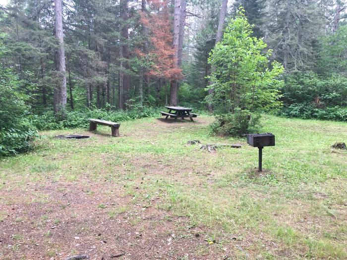 A photo of Site 8 of Loop West Loop at Little Isabella River Campground with Picnic Table, Shade, Tent Pad