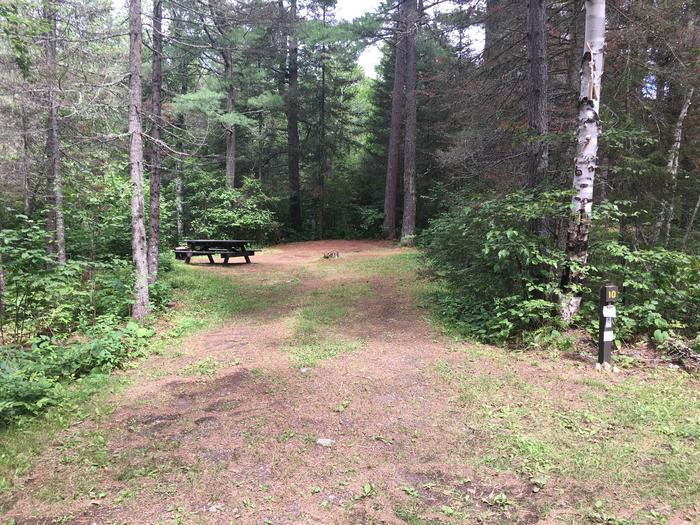 A photo of Site 10 of Loop West Loop at Little Isabella River Campground with Picnic Table, Fire Pit, Shade, Tent Pad, and Driveway
