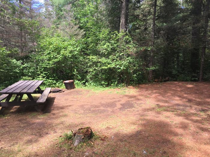 A photo of Site 10 of Loop West Loop at Little Isabella River Campground with Picnic Table, Fire Pit, Shade, Tent Pad
