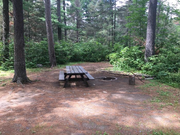 A photo of Site 11 of Loop West Loop at Little Isabella River Campground with Picnic Table, Fire Pit, Shade, Tent Pad