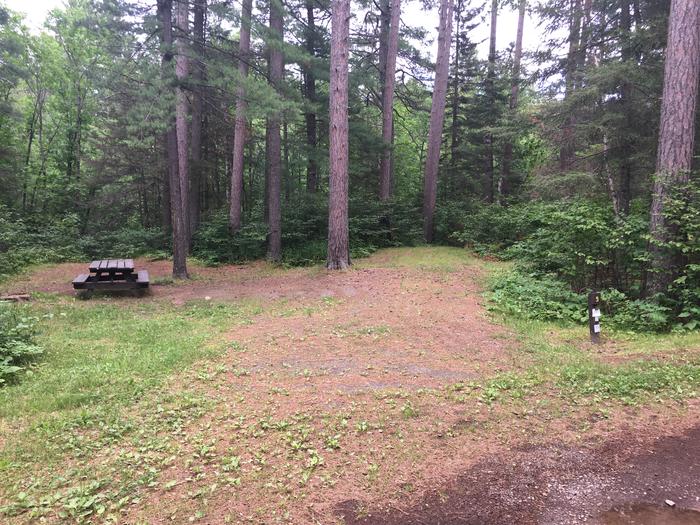 A photo of Site 9 of Loop West Loop at Little Isabella River Campground with Picnic Table, Fire Pit, Shade, Tent Pad