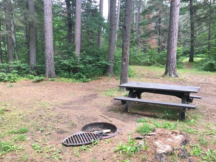 A photo of Site 9 of Loop West Loop at Little Isabella River Campground with Picnic Table, Fire Pit, Shade, Tent Pad