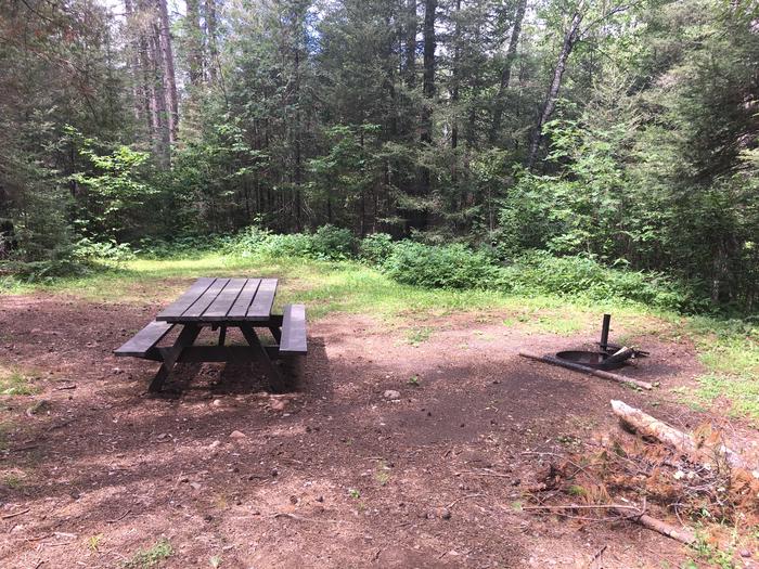 A photo of Site 6 of Loop West Loop at Little Isabella River Campground with Picnic Table, Fire Pit, Shade, Tent Pad