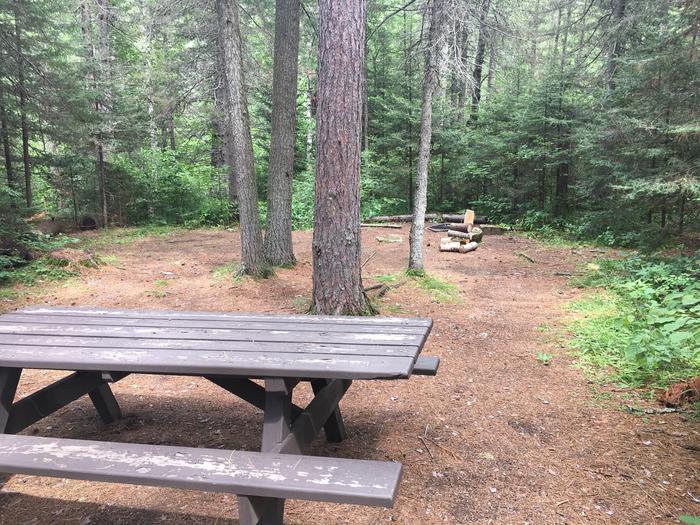 A photo of Site 5 of Loop West Loop at Little Isabella River Campground with Picnic Table, Fire Pit, Shade, Tent Pad