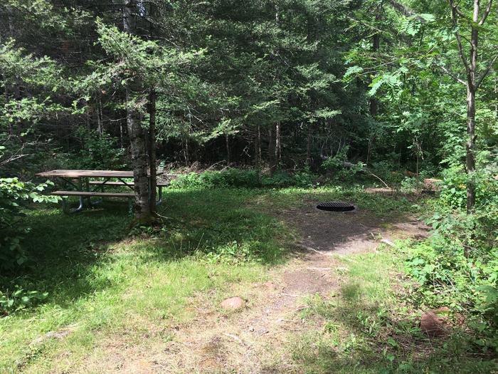 A photo of Site 3 of Loop East Loop at Little Isabella River Campground with Picnic Table, Fire Pit, Shade, Tent Pad