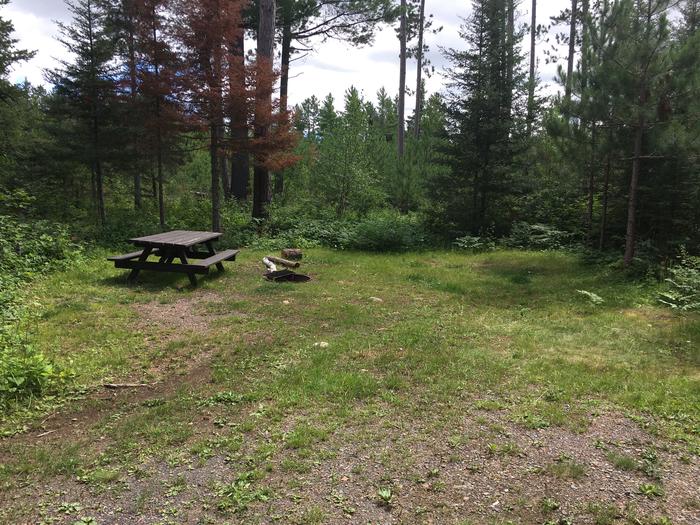 A photo of Site 1 of Loop East Loop at Little Isabella River Campground with Picnic Table, Fire Pit, Tent Pad