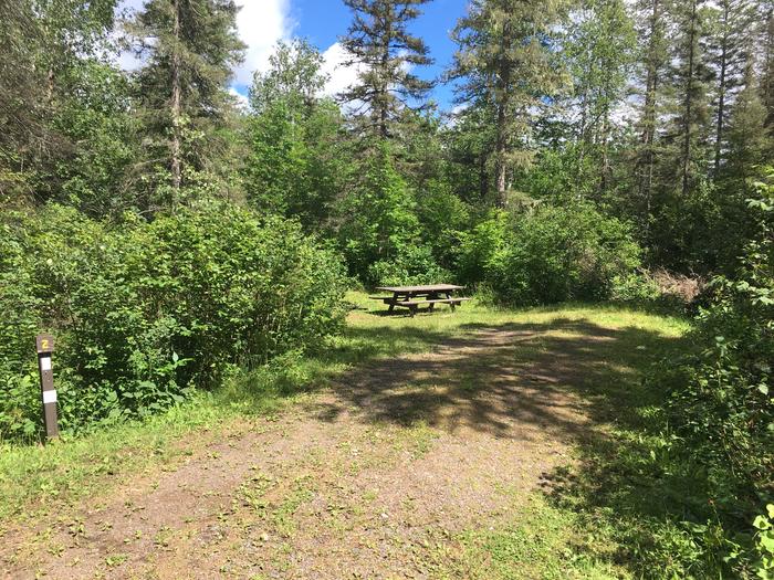 A photo of Site 2 of Loop East Loop at Little Isabella River Campground with Picnic Table, Fire Pit, Shade, Tent Pad