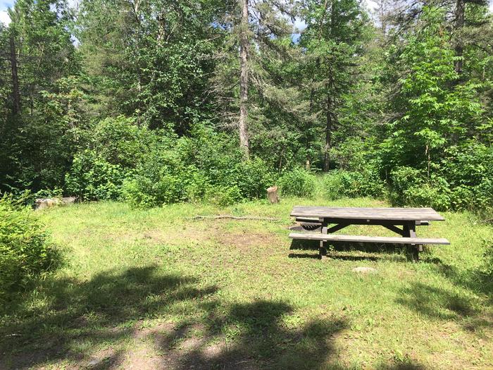 A photo of Site 2 of Loop East Loop at Little Isabella River Campground with Picnic Table, Shade, and grassy Tent Pad.A photo of Site 2 of Loop East Loop at Little Isabella River Campground with Picnic Table, Fire Pit, Shade, and Tent Pad