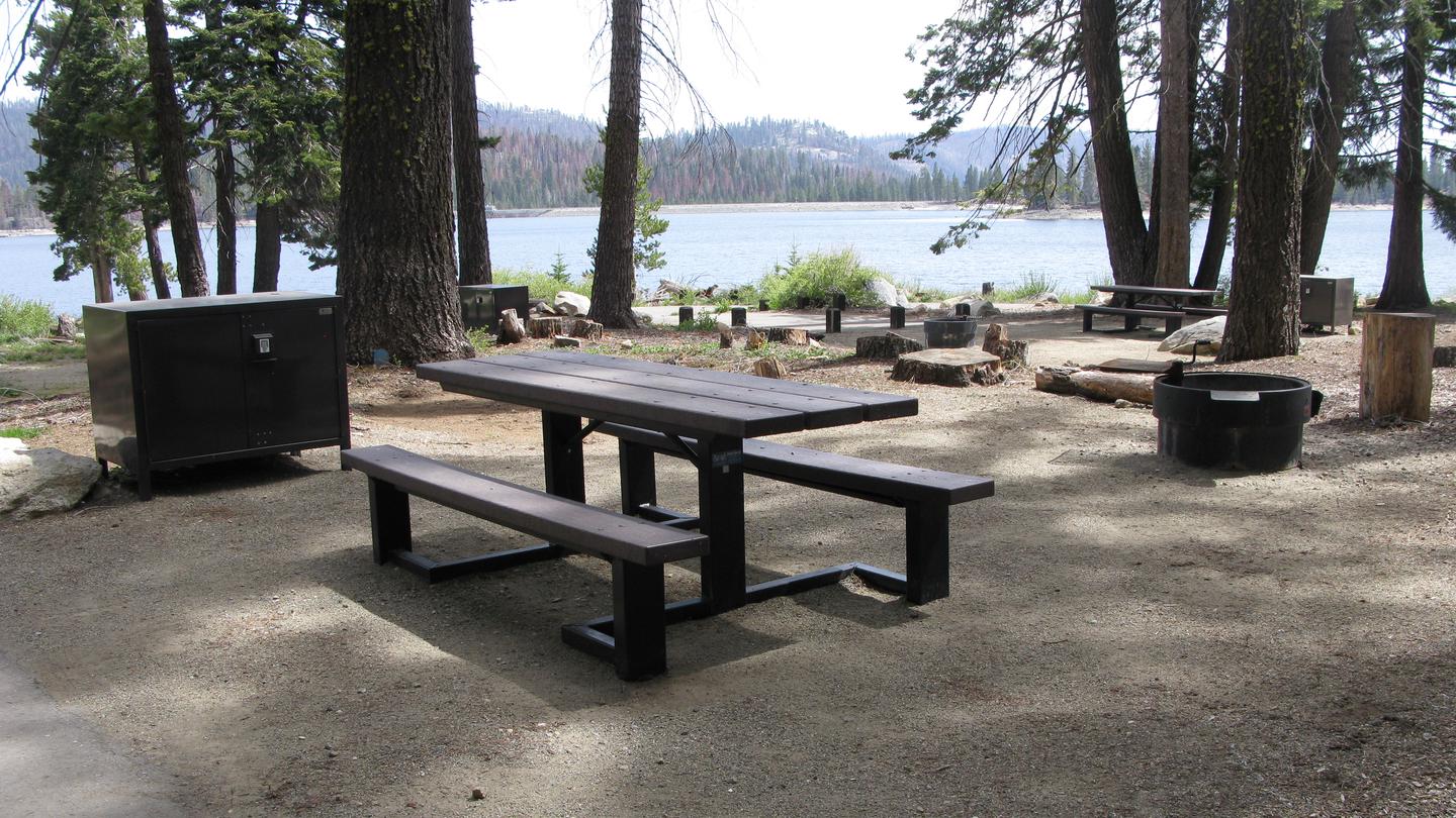 Lower Billy Creek CampgroundCamp site with picnic table, fire pit and bear box