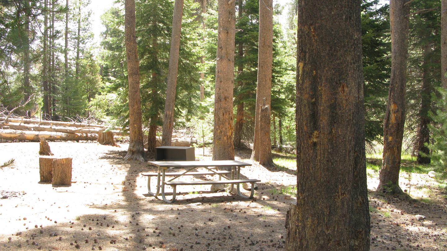 Vermillion CampgroundPicnic table, bear bin