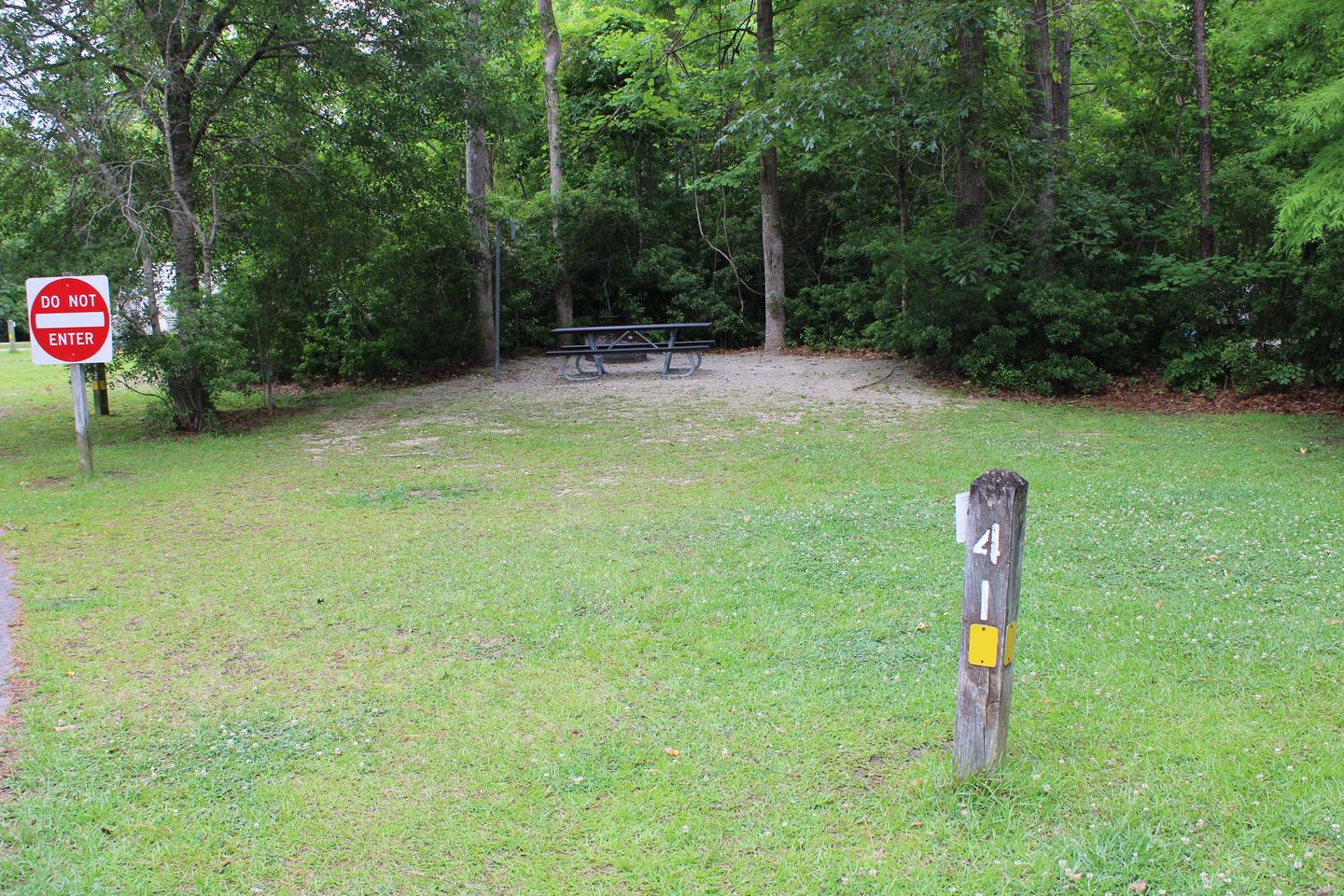 Flanners Beach Campsite #41.Driveway to Campsite