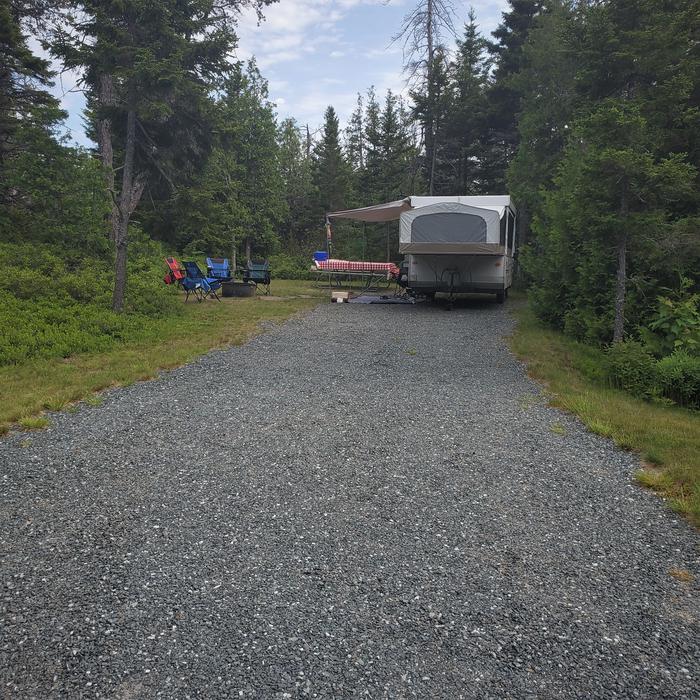 A photo of Site A06 of From The RoadA photo of Site A06 of Loop A-Loop at Schoodic Woods Campground with Picnic Table, Electricity Hookup, Fire Pit