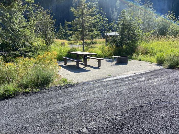 A photo of Site A019 of Loop A at KIT PRICE with Picnic Table, Fire Pit