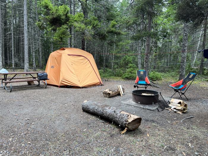 Site D81 with a 4 person tent