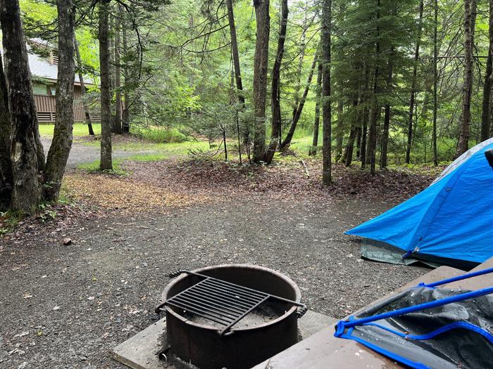 Site D89 with a view of the bathroom and main access path thru campground