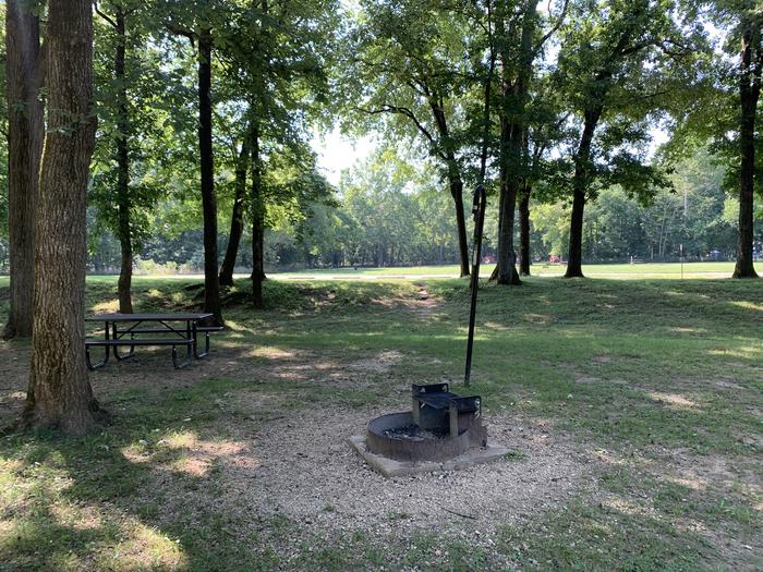 A photo of Site 720 of Loop Loop 700 at ALLEY SPRING with Picnic Table, Fire Pit, Lantern Pole