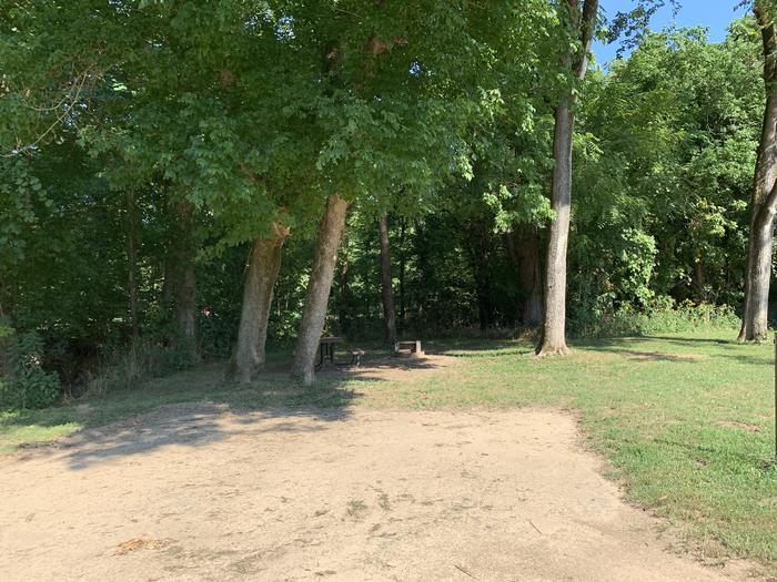 A photo of Site 805 of Loop Loop 800 at ALLEY SPRING with Picnic Table, Fire Pit, Tent Pad, Lantern Pole
