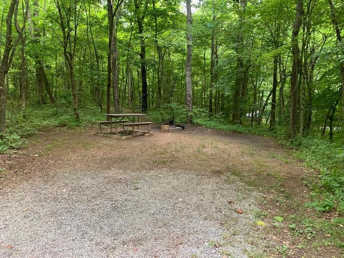 A gravel area with a brown picnic table and circle fire ring.F-7 camping space.