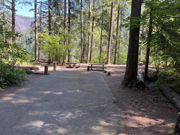 A photo of Site 17 of Loop West at HOOVER CAMPGROUND with Picnic Table, Fire Pit, Tent Pad