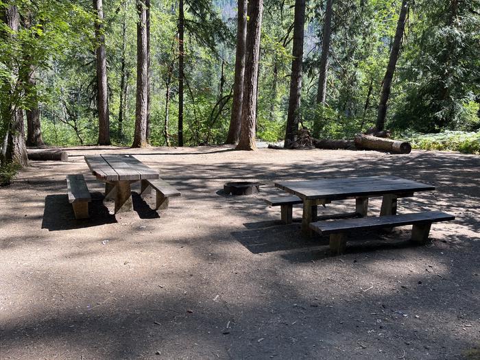 A photo of Site 17 of Loop West at HOOVER CAMPGROUND with Picnic Table, Fire Pit, Tent Pad