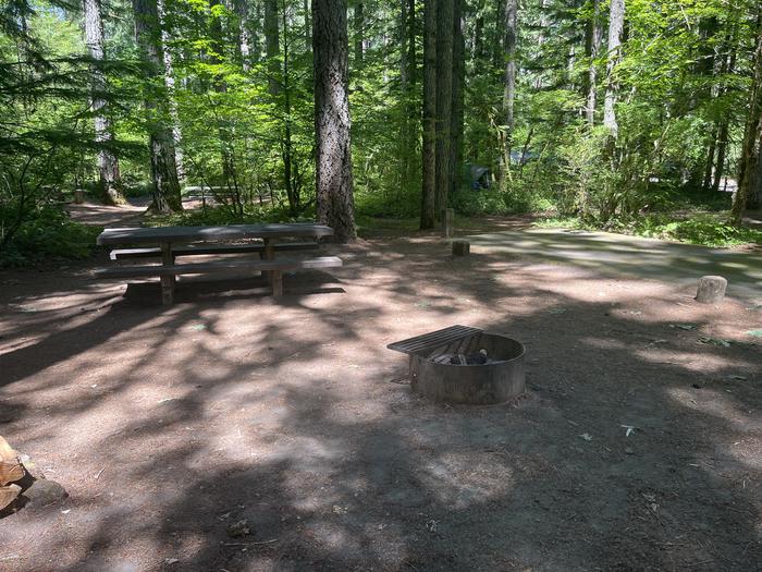 A photo of Site 20 of Loop West at HOOVER CAMPGROUND with Picnic Table, Fire Pit, Shade