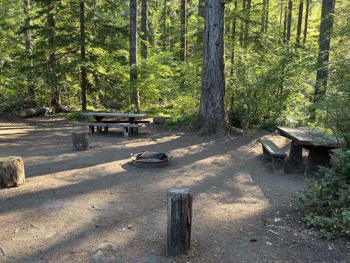 A photo of Site 09 of Loop West at HOOVER CAMPGROUND with Picnic Table, Fire Pit, Tent Pad