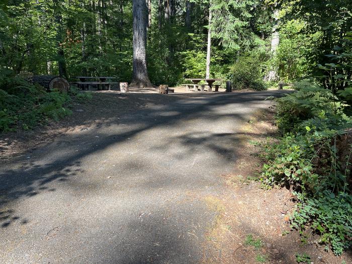 A photo of Site 09 of Loop West at HOOVER CAMPGROUND with Picnic Table, Fire Pit
