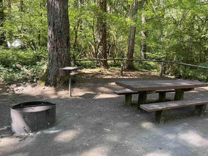 A photo of Site 30 of Loop East at HOOVER CAMPGROUND with Picnic Table, Fire Pit, Shade