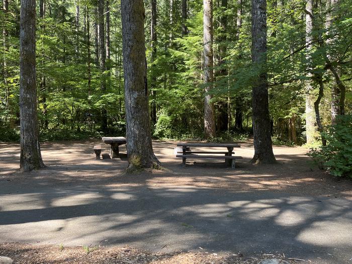A photo of Site 16 of Loop West at HOOVER CAMPGROUND with Picnic Table, Fire Pit, Tent Pad
