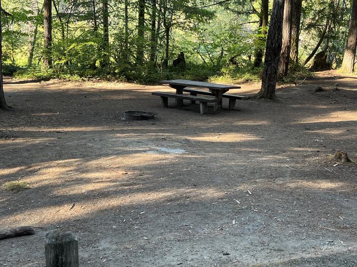 A photo of Site 07 of Loop West at HOOVER CAMPGROUND with Picnic Table, Fire Pit, Tent Pad