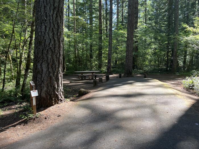 A photo of Site 03 of Loop West at HOOVER CAMPGROUND with Picnic Table, Fire Pit, Tent Pad