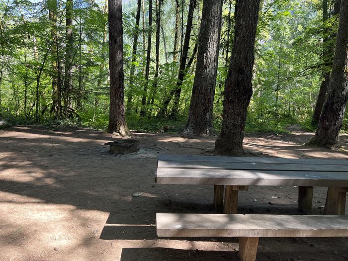 A photo of Site 29 of Loop East at HOOVER CAMPGROUND with Picnic Table, Fire Pit, Tent Pad