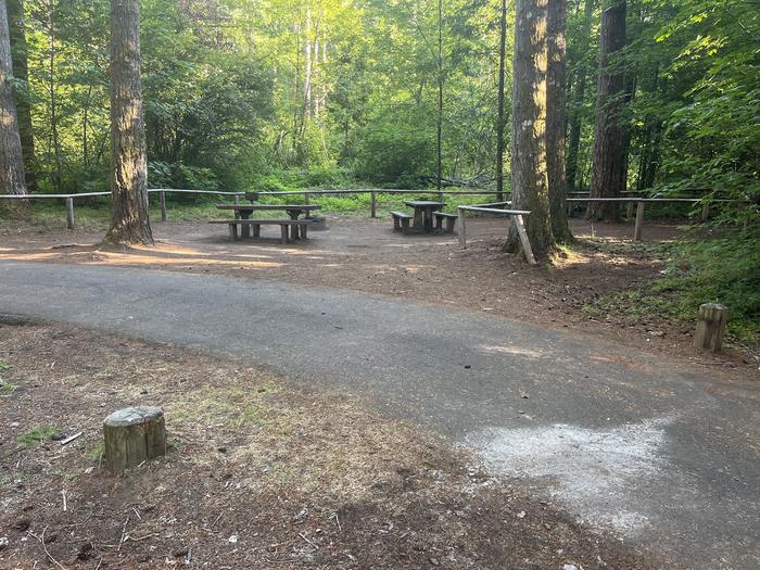 A photo of Site 25 of Loop East at HOOVER CAMPGROUND with Picnic Table, Fire Pit, Tent Pad