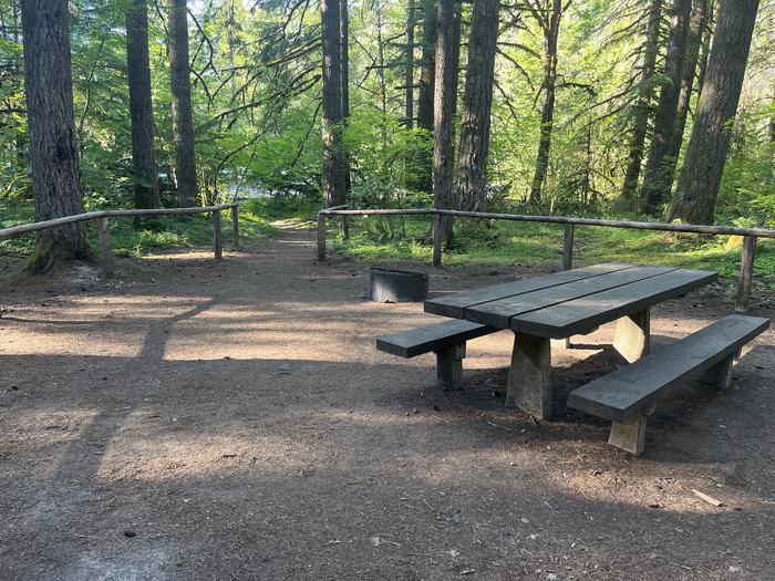 A photo of Site 26 of Loop East at HOOVER CAMPGROUND with Picnic Table, Fire Pit, Shade