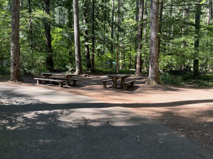 A photo of Site 18 of Loop West at HOOVER CAMPGROUND with Picnic Table, Fire Pit, Tent Pad