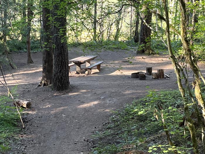 A photo of Site 06 of Loop West at HOOVER CAMPGROUND with Picnic Table, Fire Pit, Tent Pad