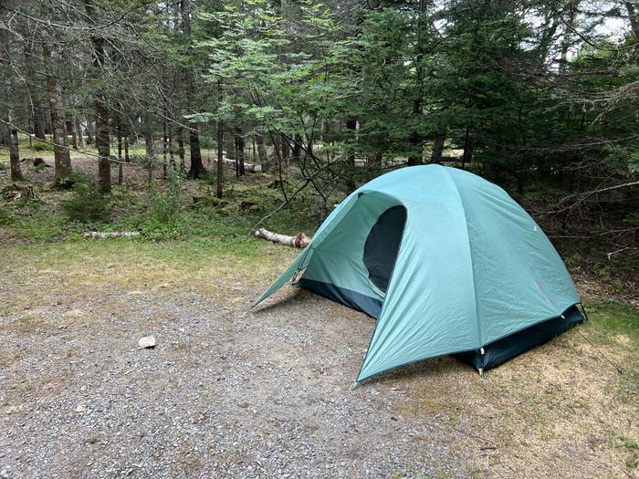 A9 with a small 4 person tent