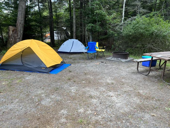 Site A10 with two small tents, fire pit and picnic table