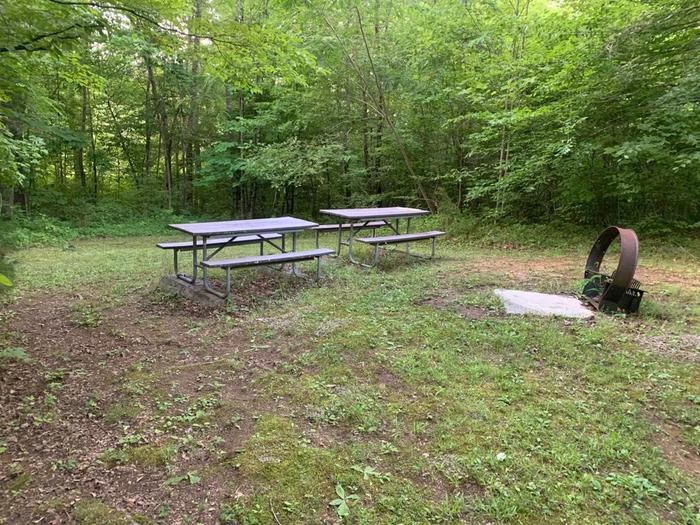 A green grass area with a brown circle fire ring and two picnic tables.O-1 camping space.