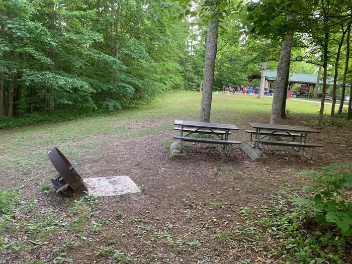 A grassy area with a brown circle fire ring and two picnic tables.O-5 camping space.