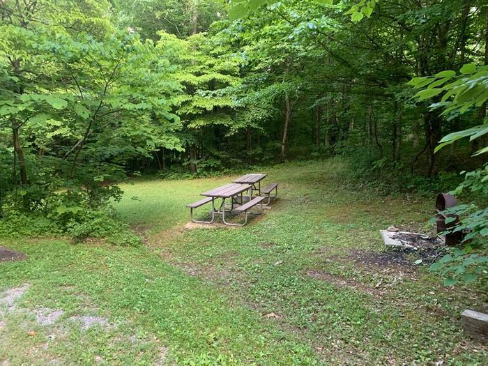 A grassy area with a brown circle fire ring and two picnic tables.O-7 camping space.
